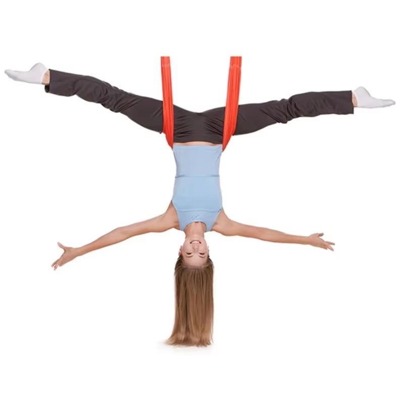 Aerial Yoga Suspension Straps  - đánh giá và giá Yoga Swing Aerial